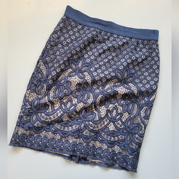 Ann Taylor Dresses & Skirts - Ann Taylor Pencil Floral Lace Skirt in Blue Size 6